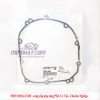 gioang-buong-con-z900-chinh-hang