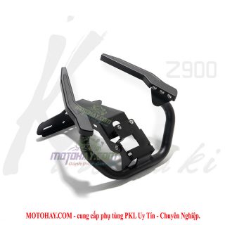 tay-dat-z900