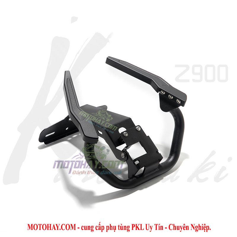 tay-dat-z900