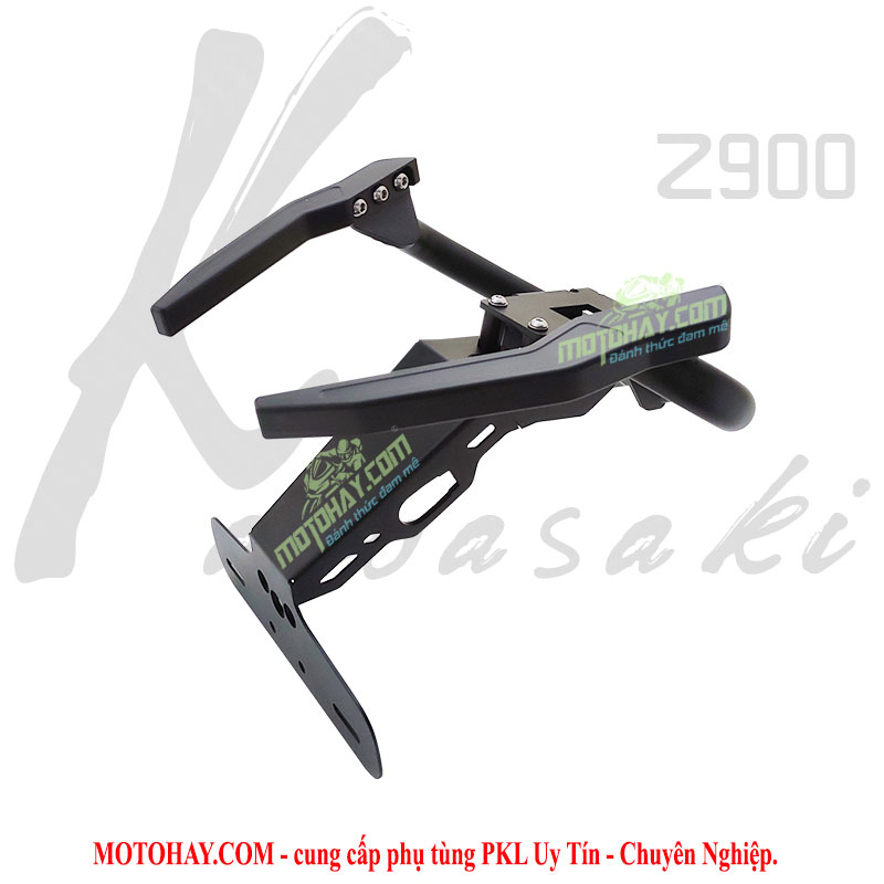 tay-dat-z900