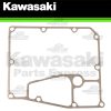 gioang-day-cacte-z650-ninja-650-versys-650