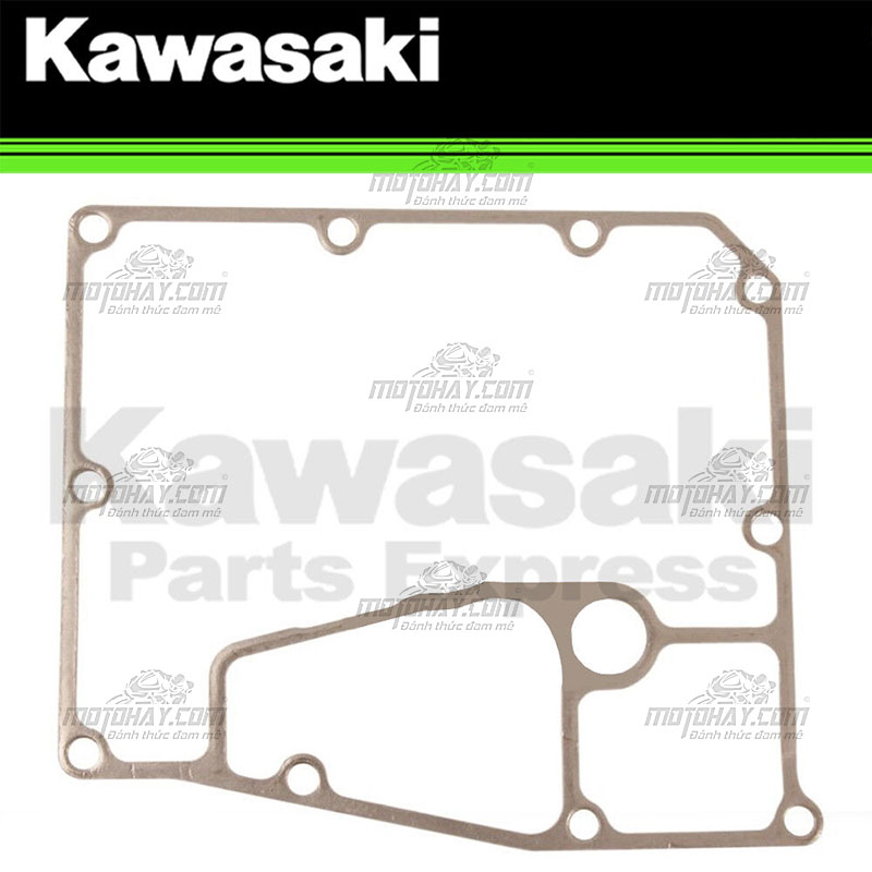 gioang-day-cacte-z650-ninja-650-versys-650