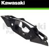 Sừng trâu Zx-10r 2016-2020 chính hãng